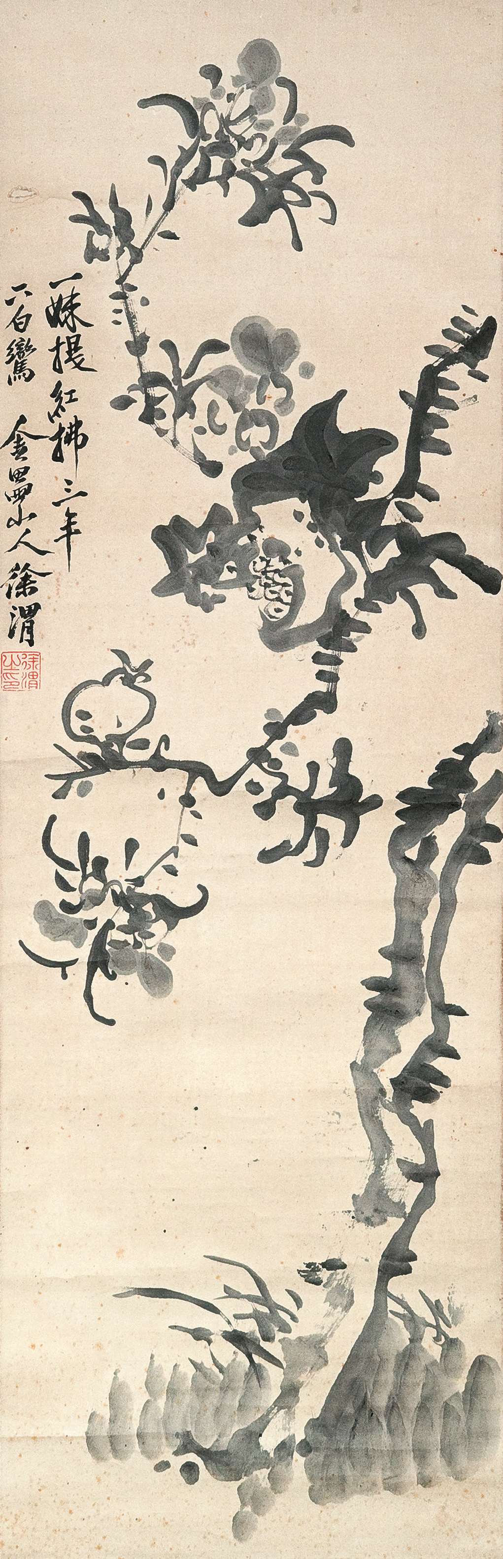 徐渭 花卉 纸本106X35cm(印章与典同).jpg