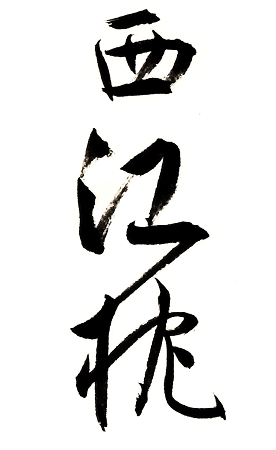 《白阳诗抄》长卷局部-38.jpg