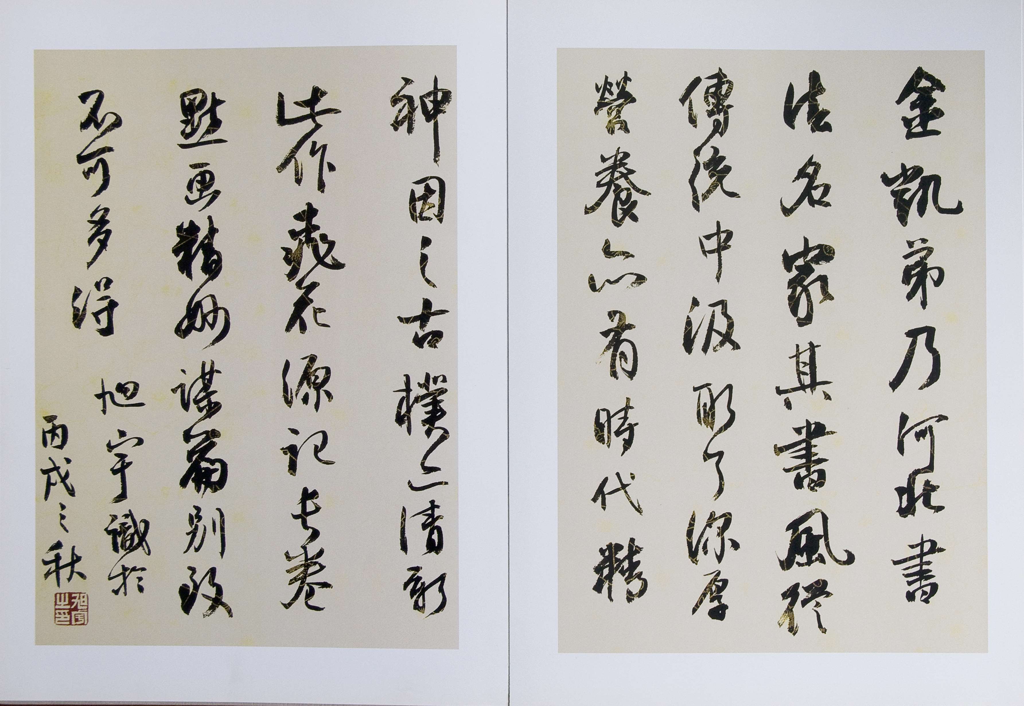 旭宇为《刘金凯行草书桃花源记》题跋2.jpg