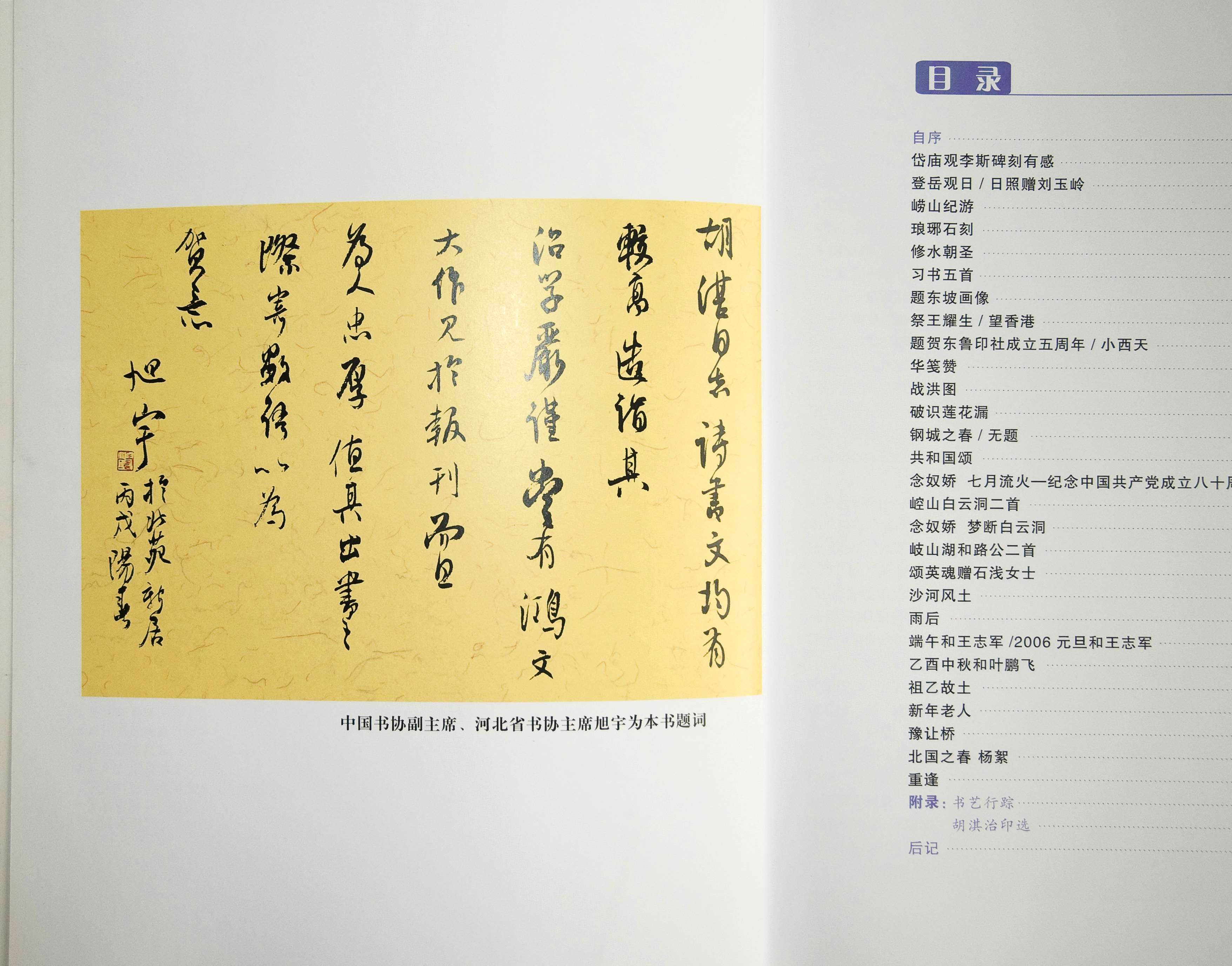 旭宇为胡湛诗稿《书踪诗缘》题词题跋.jpg